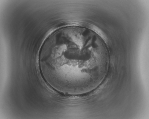 X0000113111283200908281401