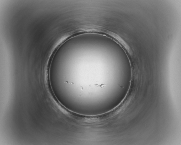 X0000113111285200908281401
