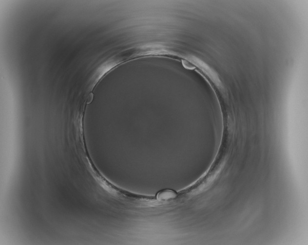 X0000113111289200908281400