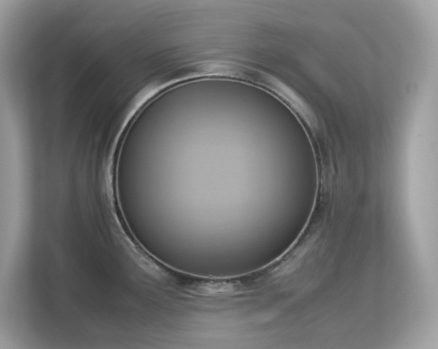 X0000113111291200908281400