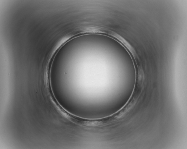 X0000113111293200908281400