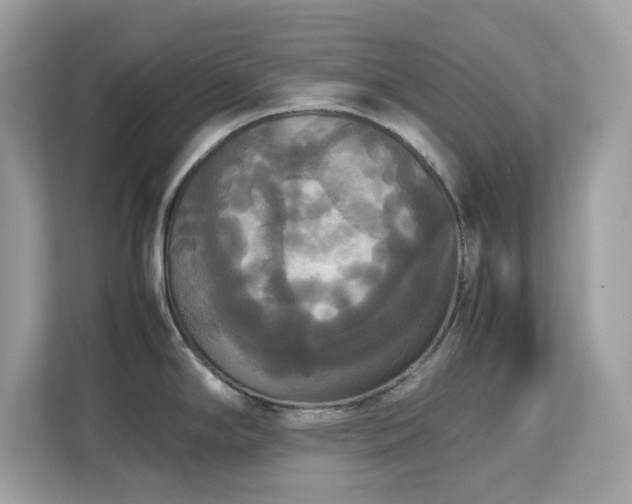 X0000113111294200908281400