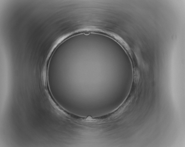 X0000113111295200908281400
