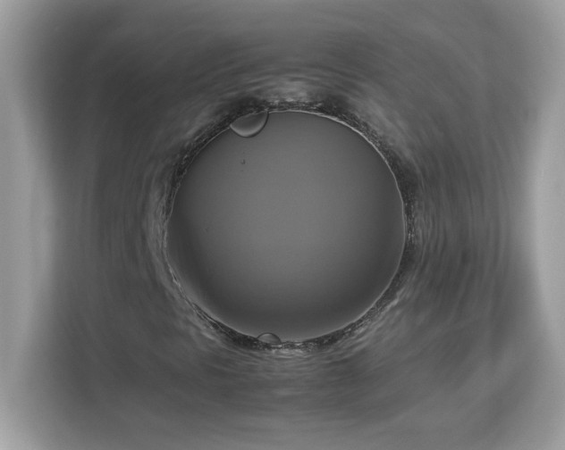 X0000113111297200908281400