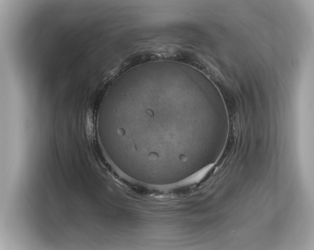 X0000113111298200908281400