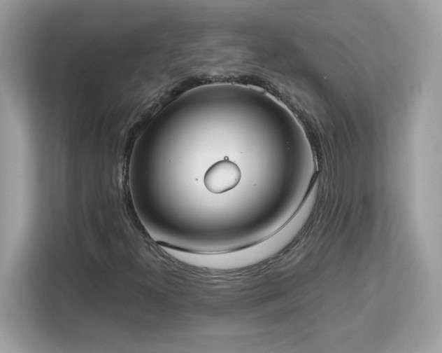 X0000113111300200908281400