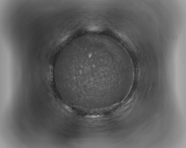 X0000113111301200908281400