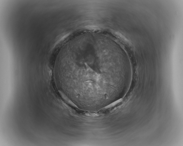 X0000113111302200908281400