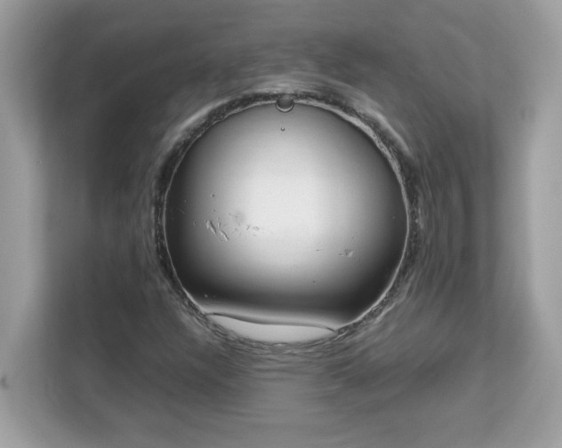X0000113111304200908281400