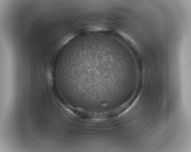 X0000113111305200908281400