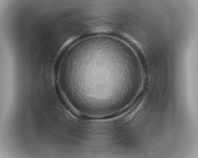 X0000113111306200908281400