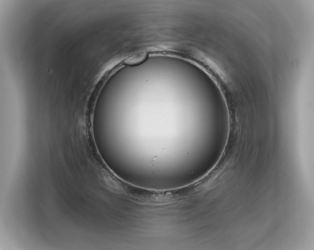 X0000113111308200908281400