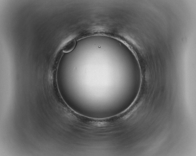 X0000113111309200908281400