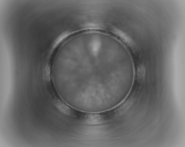 X0000113111310200908281400