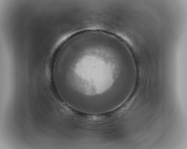 X0000113111311200908281400