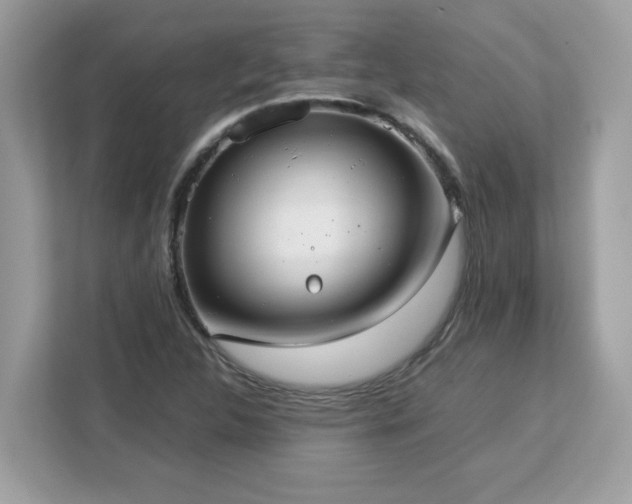 X0000113111312200908281400