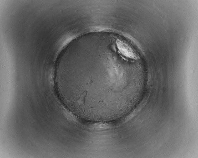 X0000113111314200908281400