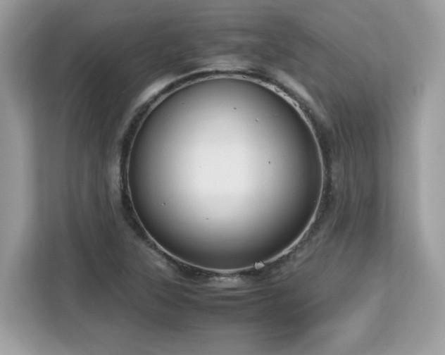 X0000113111315200908281400