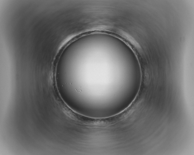 X0000113111316200908281400