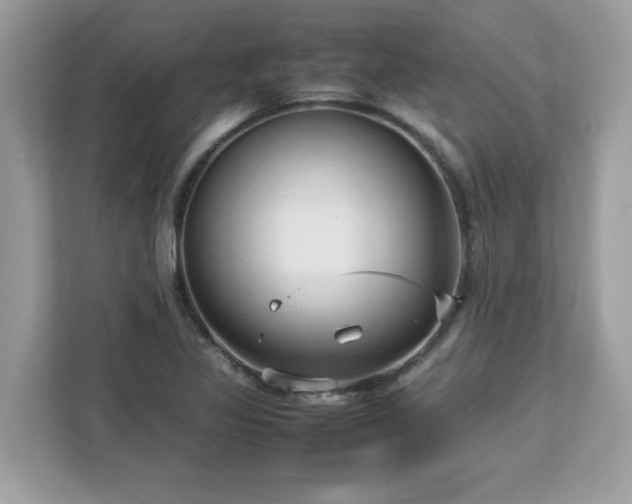 X0000113111317200908281400