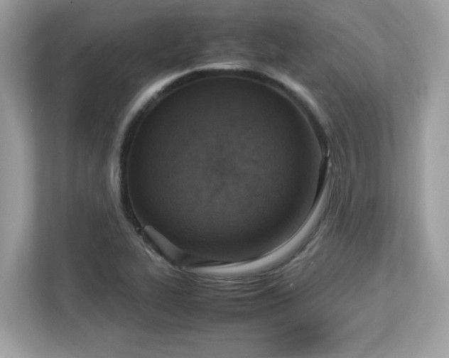 X0000113111319200908281400