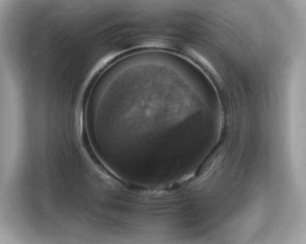 X0000113111323200908281400