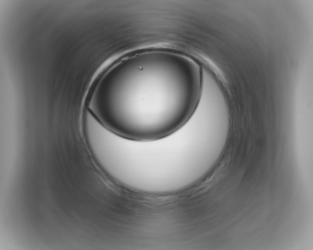 X0000113111324200908281400