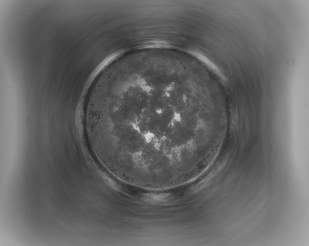 X0000113111325200908281400