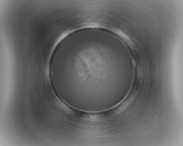 X0000113111326200908281400