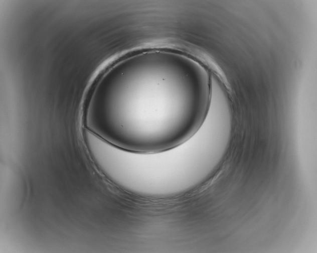 X0000113111328200908281400