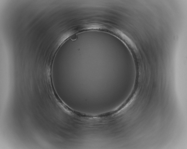 X0000113111329200908281400