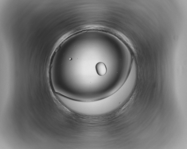 X0000113111330200908281400