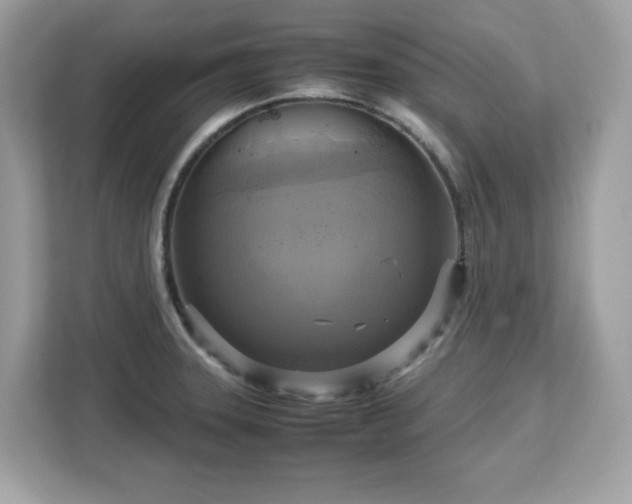 X0000113111331200908281400