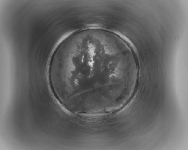 X0000113111333200908281400