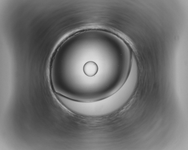 X0000113111334200908281400