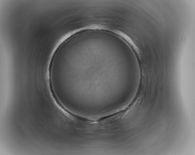 X0000113111335200908281400