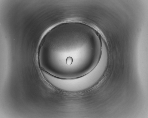 X0000113111336200908281400