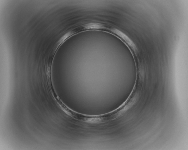 X0000113111337200908281400