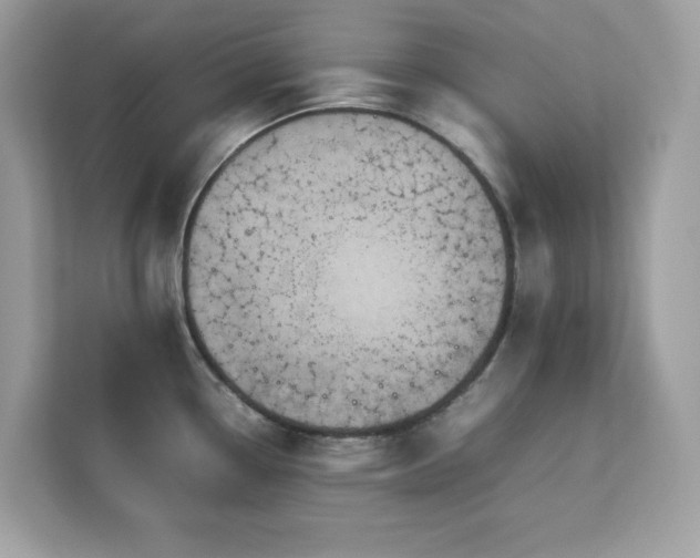 X0000113111338200908281400