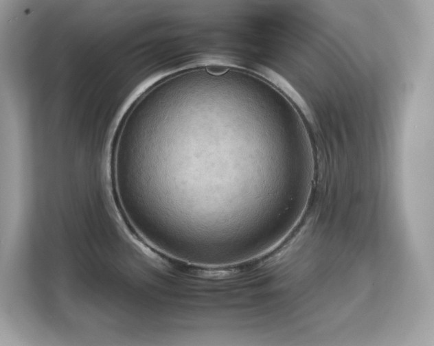 X0000113111339200908281400