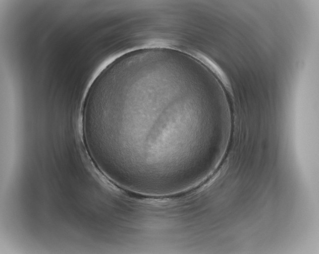 X0000113111340200908281400