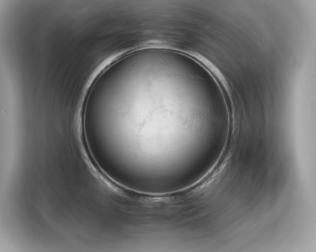 X0000113111341200908281400