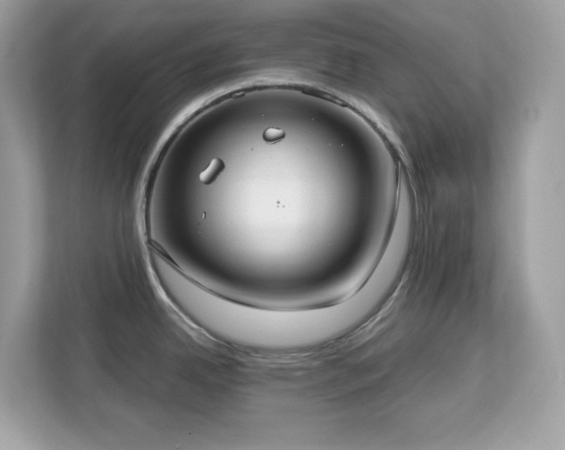 X0000113111342200908281400