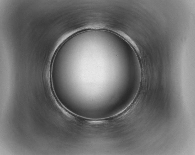 X0000113111343200908281400