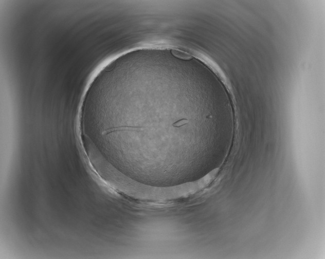 X0000113111344200908281400