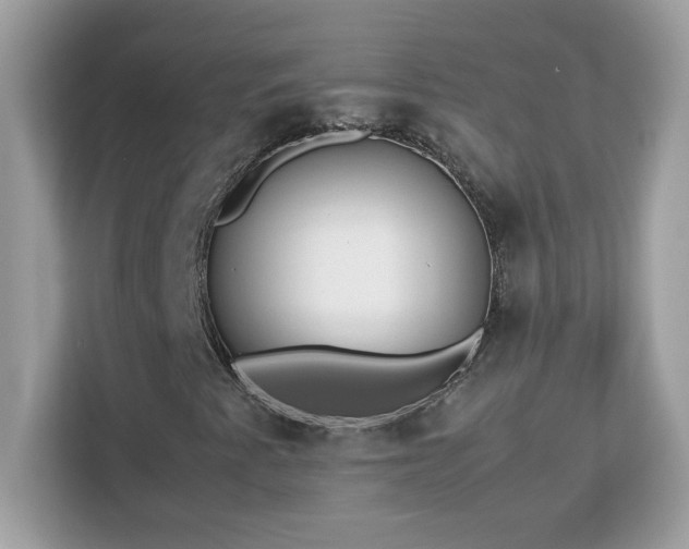 X0000113111345200908281400