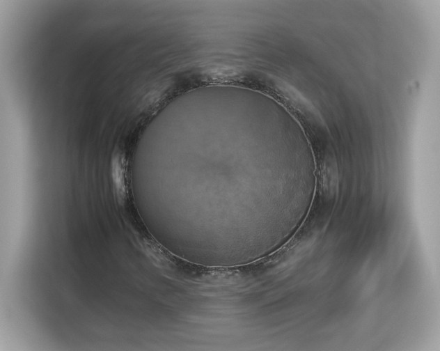 X0000113111346200908281400