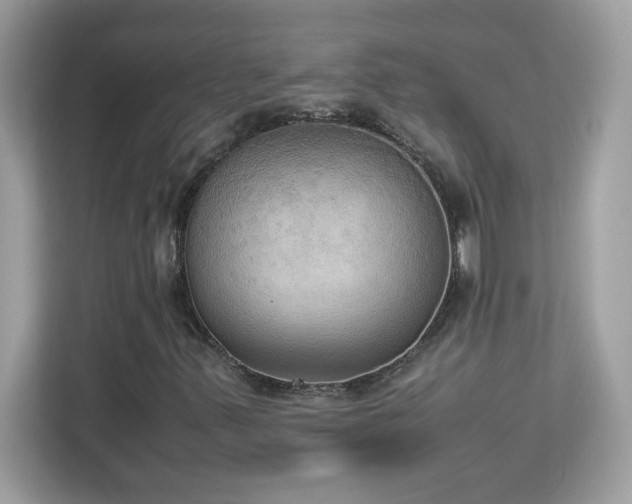 X0000113111347200908281400