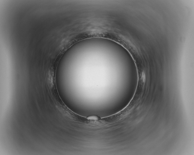 X0000113111348200908281400