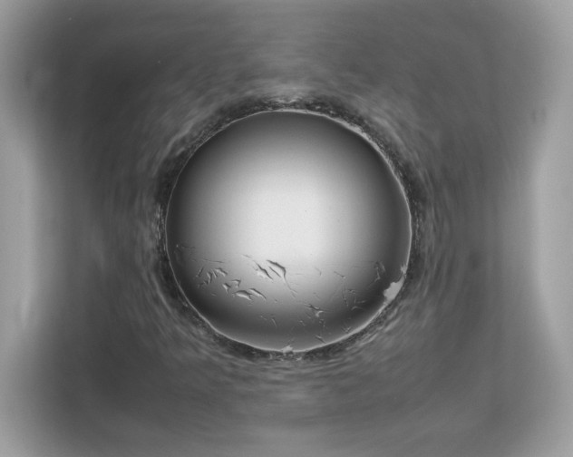X0000113111349200908281400